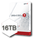 Open-E DSS V7 16TB