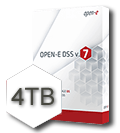 Open-E DSS V7 4TB