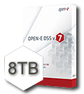 Open-E DSS V7 8TB